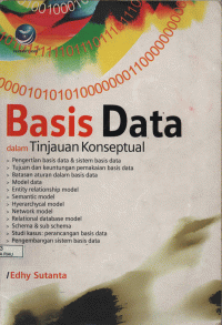 Image of BASIS DATA DALAM TINJAUAN KONSEPTUAL